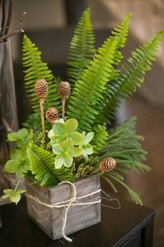 an arrangement of plants and pine cones in a wooden box on a table next to a glass vase