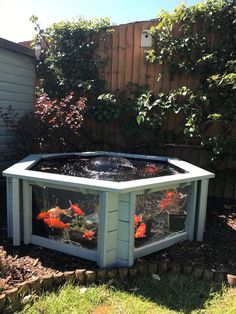 an outdoor fish pond with goldfish in it