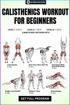 an image of a poster showing how to do the calisthenics workout for beginners