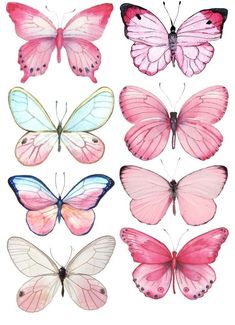 six different colored butterflies are shown in this image, one is pink and the other is blue