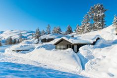 a cabin is covered in snow and surrounded by pine trees on the side of a mountain