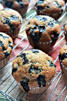 blueberry muffins cooling on a wire rack