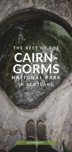 the best of the cabin - gorms national park in scotland with text overlay