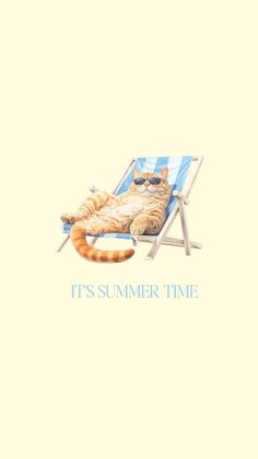 an orange and white cat laying on top of a beach chair with the caption it's summer time