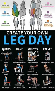 a poster showing how to use the leg day