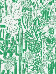 green cactus and succulents on white background wallpaper design by studio b