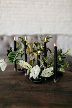 candles are lined up on a table with plants