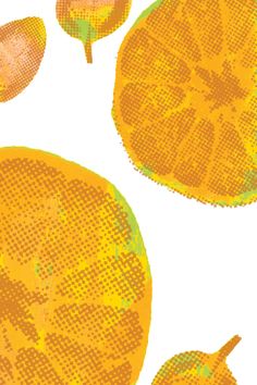 an image of oranges cut in half on a white background with grungy effect