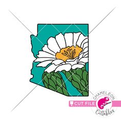 a white flower with yellow center on a blue and green background, in the shape of a