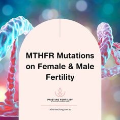 Our latest blog post explores the critical role of the MTHFR gene in female and male fertility. Understanding this gene’s impact is essential for those trying to conceive, as it can influence egg and sperm health.

Discover why the right type, dose and timing of folate supplement is key to minimising the risk of miscarriage and supporting a healthy pregnancy journey. 

#FertilityJourney #MTHFR #EggHealth #SpermHealth #MiscarriagePrevention #FertilitySupport #Pristinefertility Gene Mutation, Irregular Menstrual Cycle, Cleft Lip