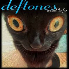 there is a black cat with yellow eyes and the words deftones around the fur