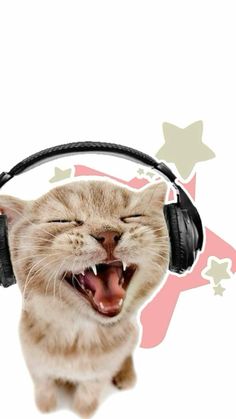 a cat wearing headphones with its mouth open