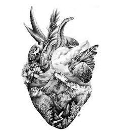 a pencil drawing of a heart with birds flying around it