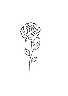 a black and white drawing of a rose