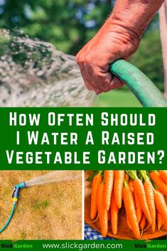 how often should i water a raised vegetable garden?