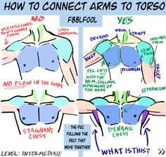 how to connect arms to torso