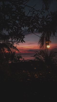 the sun is setting over the ocean with palm trees in foreground and an orange light shining on the horizon