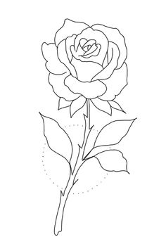 a drawing of a rose on a white background