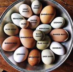 a bowl filled with different types of eggs