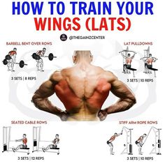 the back view of a man's chest and arms, with instructions to train your wings