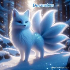 a white cat with blue eyes standing in the middle of a snow covered forest at night