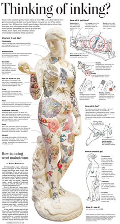 the anatomy of a woman's body is shown in this article, which includes diagrams and