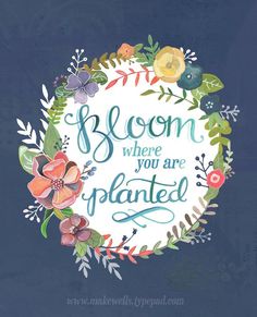 a card with the words bloom where you are planted