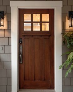 a wooden door with two lights on each side and a potted plant next to it