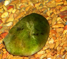 a green rock sitting on top of a pile of rocks next to gravel and pebbles