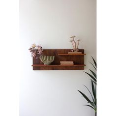 two wooden shelves with plants and books on them