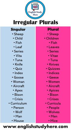 two different types of irregular plurals are shown in this graphic above the image