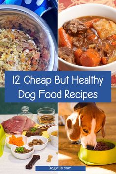 four pictures with the words 12 cheap but healthy dog food recipes