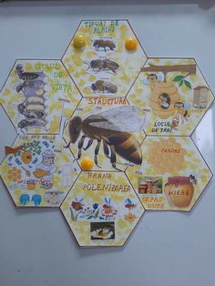 a white board with pictures of bees and honeycombs on it's sides