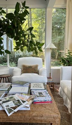 a living room filled with furniture and lots of plants on top of the coffee table