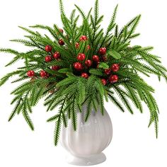 a potted plant with red berries in it