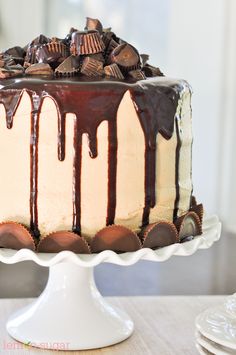 a chocolate cake with white icing and chocolate chips on top sitting on a table