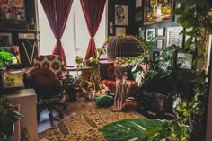 a living room filled with lots of plants