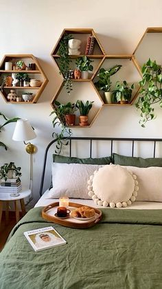 a bed with green bedspread and potted plants on the wall above it