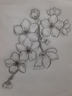 a drawing of some flowers on a piece of paper