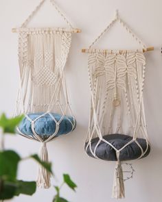 two hammocks hanging on the wall next to a potted plant