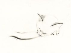 a drawing of a cat sleeping on the floor