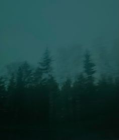 trees are seen through the window of a moving vehicle on a foggy day in this image