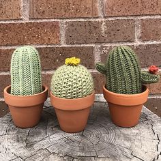 three potted cactus plants sitting on top of a tree stump