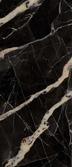 black and white marble with gold veining on the edges is seen in this image