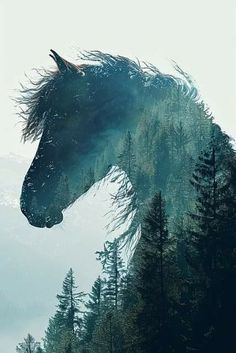 a horse that is standing in the grass with trees behind it and mountains in the background