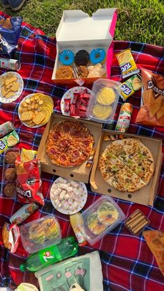 a picnic blanket with pizzas, snacks and other food items laid out on it