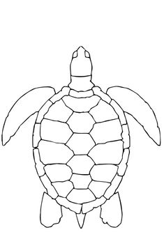 a drawing of a sea turtle