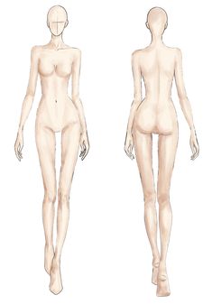 a female mannequin is shown from the front and back view, with no shirt on