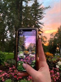 someone holding up their cell phone to take a picture of the flowers in the garden