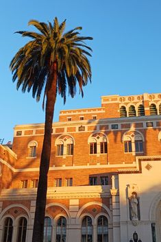 a tall palm tree sitting in front of a large brick building with arched doorways